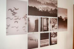 BBkey La casetta Arta Terme Vacation rental in Friuli-Venezia Giulia