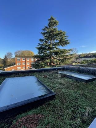 Light-filled Eco-home with Patio Vacation rental in Bristol