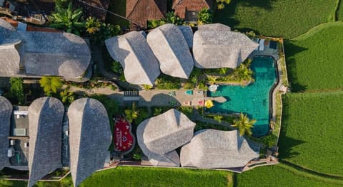 Susi Villas Ubud Bed and Breakfast in Payangan