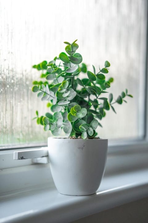 2 BDR Apt At Caledonia Luxe Stays Short Lets & Serviced Accommodation Glasgow Apartment in Glasgow