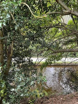 Berwyn Lodge Vacation rental in Llangollen