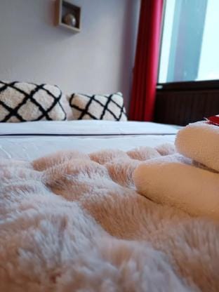 Chamonix : Studio intime au bord du lac des Gaillands et pistes de ski Apartment in Chamonix