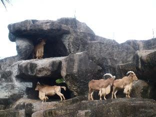 Gp House Bali Vacation rental in Blahbatuh