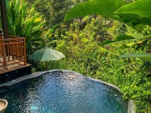 1 BR Villa with Private Pool & Jungle View Villa in Tampaksiring