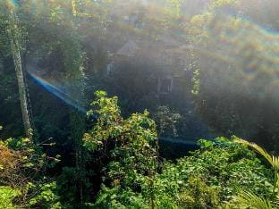 Free Floating Breakfast in Private Pool Villa Villa in Tampaksiring