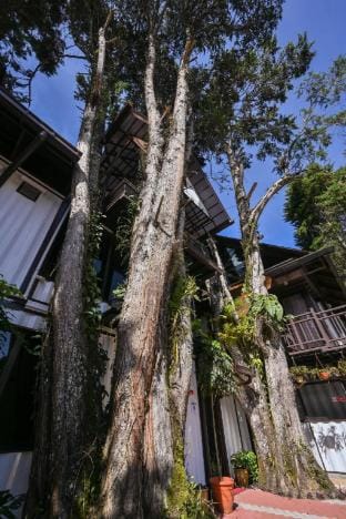 Property view
