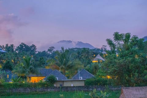 Villa Lumbung Sidemen Villa in Sidemen