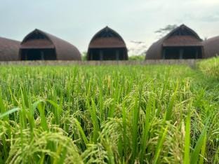 Villa Lumbung Sidemen Villa in Sidemen