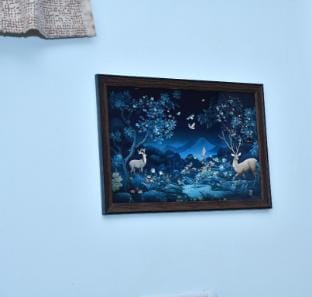 Independent house  Villa in Jaipur