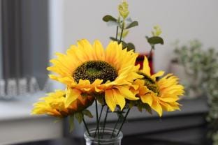 Fully Furnished, 64+ Amenities, Free Parking Vacation rental in Nottingham