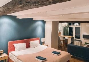 Luxurious suite in Maastricht City Center Apartment in Maastricht