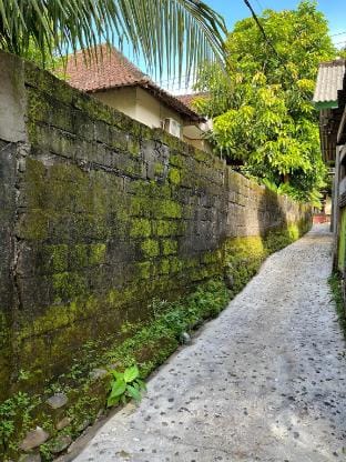 The Inside House Medewi Vacation rental in Pekutatan