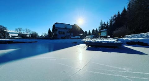 Jerà am Furtnerteich&Grebenzen Hotel - Ristorante Hotel in Carinthia, Austria