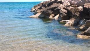 Casa al Porticciolo Campomarino Lido vicino Termoli Apartment in Molise, Italy