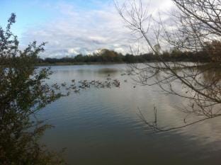 Dragonfly Stays at Lower Lakes Vacation rental in Sedgemoor