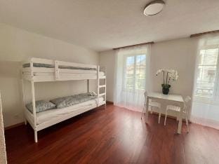 Zzz Studio South Vacation rental in Interlaken