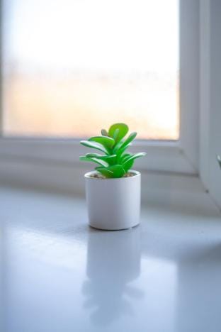 Camps Rigg Place Vacation rental in Livingston