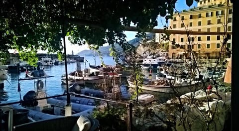 Camogli Golfo Paradiso la casa del Comandante Apartment in Camogli