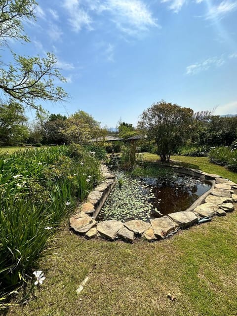 Blossom Cottage, Elgin Grabouw Vacation rental in Western Cape