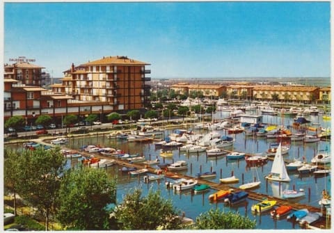 Bright studio with terrace Apartment in Porto Santa Margherita