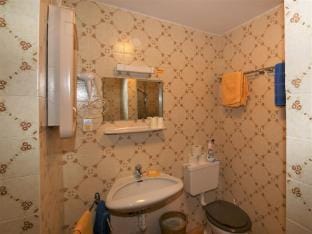 Apartment in Vorberg near Dachstein Glacier Apartment in Schladming