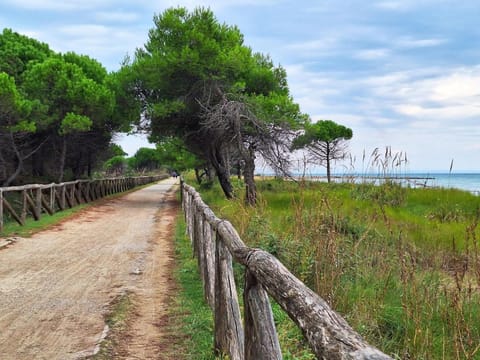 Enjoy your holiday in our lovely flat with garden Apartment in Bibione