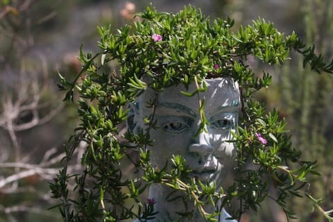 Crafters Cottage Farm Stay in Eastern Cape