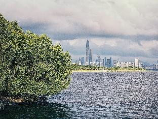 Property view