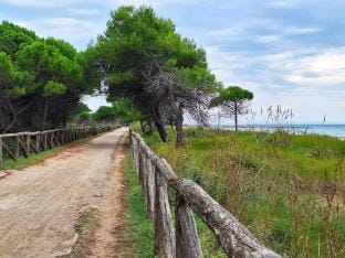 Bright garden apartment near the sea Apartment in Bibione