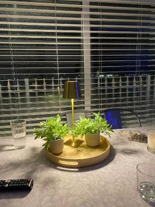 Lake View Galway City Vacation rental in Galway