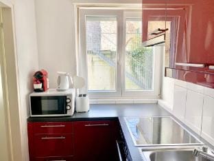 Modern and Bright 2BDR Apt - City Center Vacation rental in Lucerne