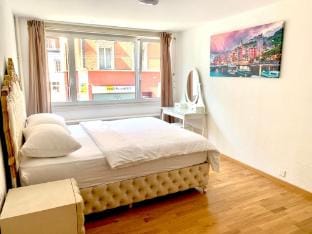 Modern and Bright 2BDR Apt - City Center Vacation rental in Lucerne