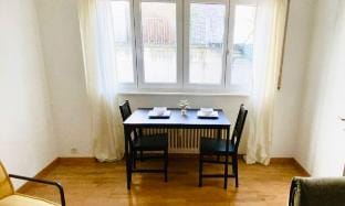 Modern and Bright 2BDR Apt - City Center Vacation rental in Lucerne