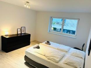 Big house for 10 people Vacation rental in Basel