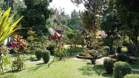 D'Karang Eco Lodge Hotel in Karangasem Regency
