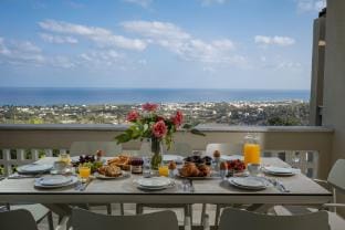 Villa Panorama - With 60m Private Pool Villa in Crete