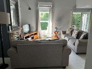 Lemon Tree Cottage a Charming Self-catering house Vacation rental in Franschhoek