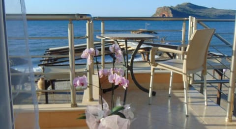 Comfy Beachfront Litinas Casa with SeaView Apartment in Agia Marina