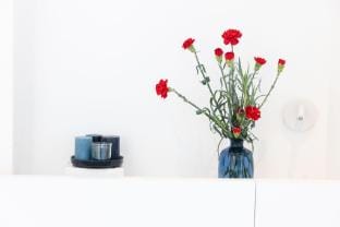 Mary B. in Piano di Sorrento Vacation rental in Sant Agnello