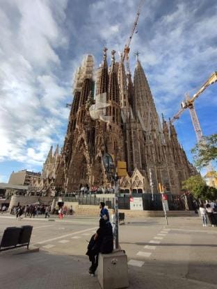 Homestay Partment Vacation rental in Barcelona