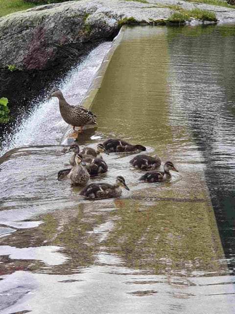 Murgseehütte Vacation rental in St. Gallen, Switzerland