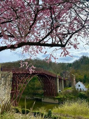 Ironbridge Town Appartment Apartment in Tontine Hill