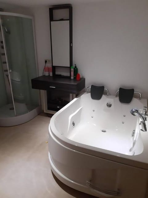 relaxation in Waterloo, 2 steps from the center of Brussels Apartment in Flanders