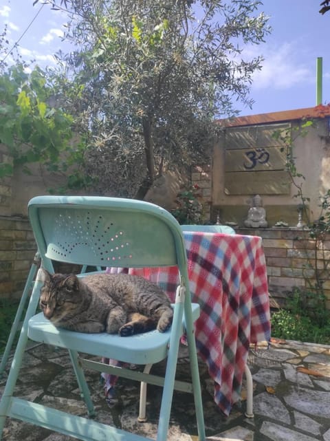 Pinwheel Hostel Vlora & Rooftop Bar Hostel in Vlorë