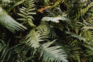 Cottage with a hot tub - In The Woods Vacation rental in Wallonia, Belgium