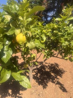 Апартаменты у моря Vacation rental in Argolis, Greece