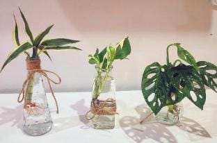 Damiya Peaceful House Vacation rental in Khok Kloi