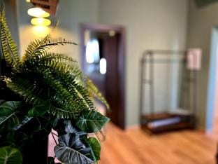 HomingPisa - Gemini Two - NEW (900 Reviews) Apartment in Pisa