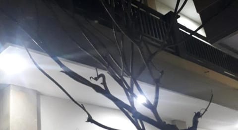 Adijaya homestay Vacation rental in Kuta