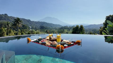 Vishala Retreat Bali Villa in Sidemen